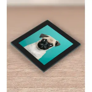 ABC Prints Glass Photo Coasters - Make Your Own Photo Coasters