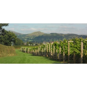 Experience Days Shropshire Cheese And Wine Tour For Two
