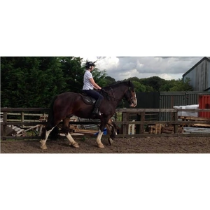 Experience Days Horse Riding in Hampshire - Advanced Lesson