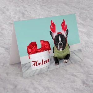 Getting Personal Personalised Christmas Card - Reindeer Dog