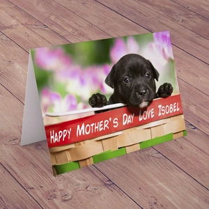 Getting Personal Personalised Mother's Day Card - Puppy With Flowers