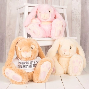 Getting Personal Personalised Bunny With T-Shirt - Any Message