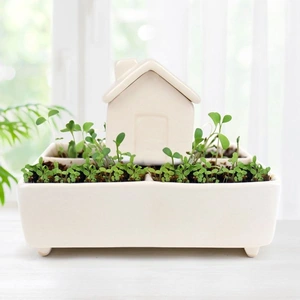 View product details for the Self Watering House Herb Garden Grow Kit