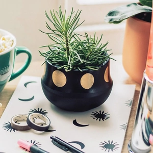 Yes I Want It Moon Phases Black Planter